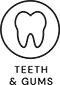 Teeth and Gums