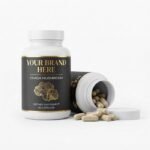 Chaga Mushroom