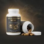 Chaga Mushroom - Image 2